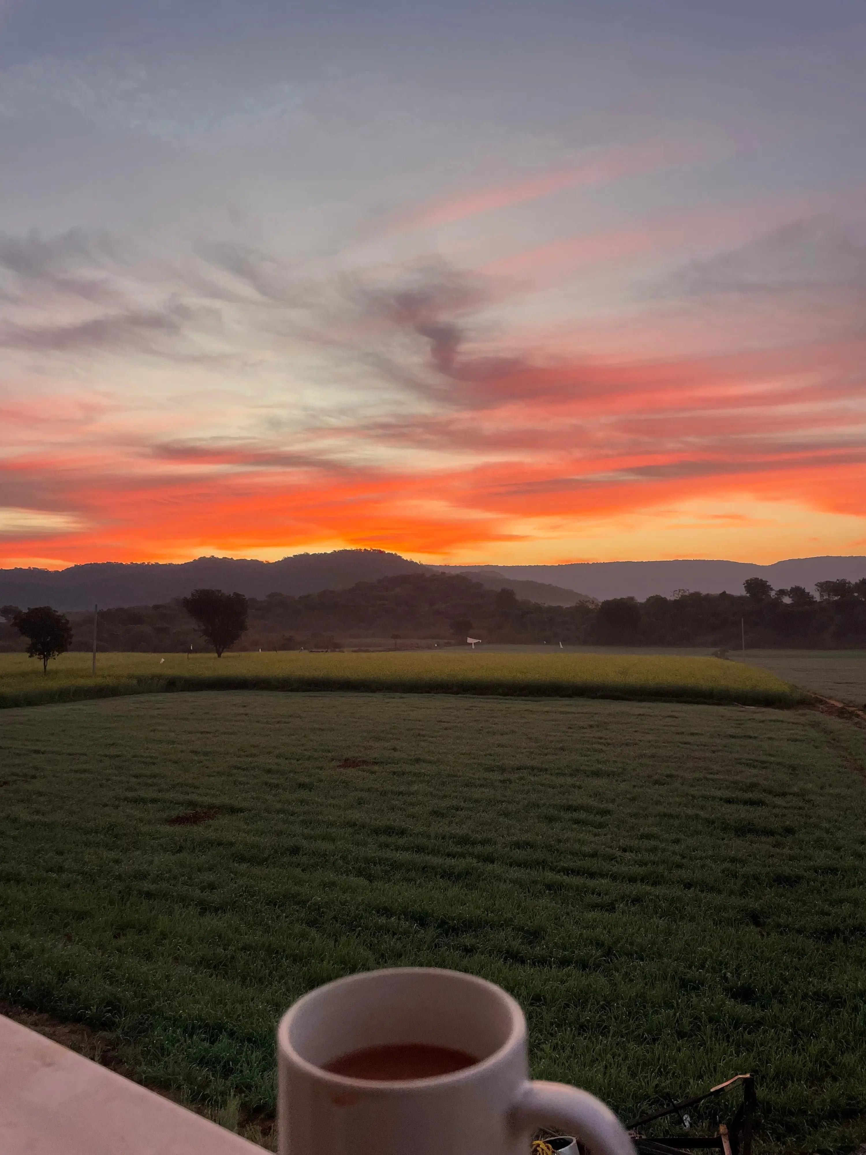 Morning tea in the open air at the estate